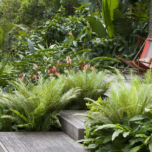 Cette photo montre un jardin avec une terrasse en bois ou composite arrière exotique.