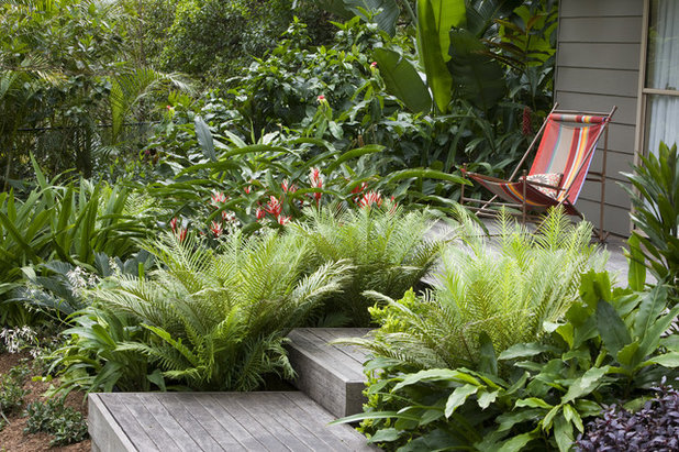 Tropical Garden by Secret Gardens
