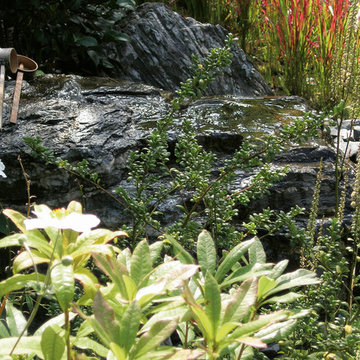Gartenprojekte