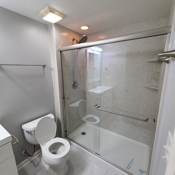 2021 Clarendon Hills, IL Gutted Bathroom Remodel