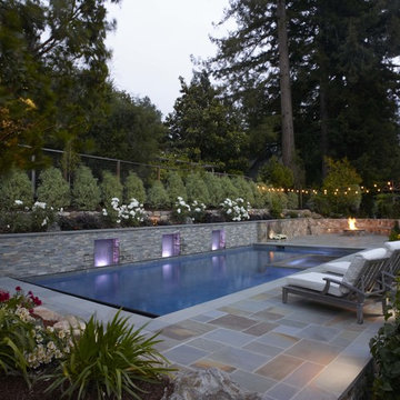 Perennial Splendor