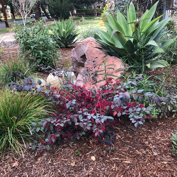 Colorful Watershed Front Landscape