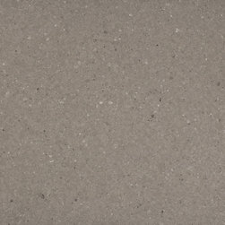 ShitakeCaesarstone Quartz Countertop - Kitchen Countertops