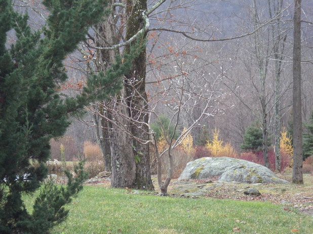 Рустика Сад by Zone4 Landscapes Ltd.