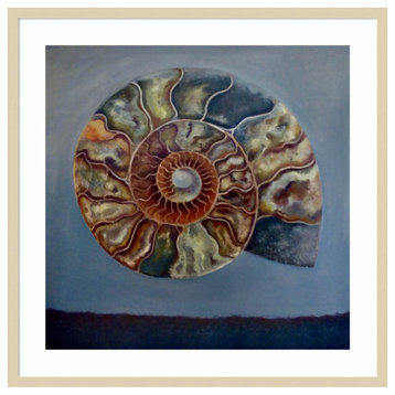 Ammonite Shell Layers by Lee Campbell Framed Wall Art 33 x 33
