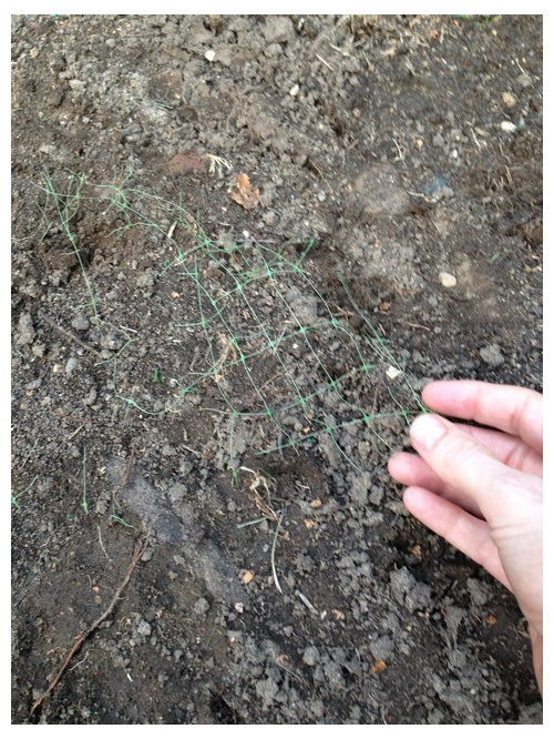 What is this plastic netting in our soil?