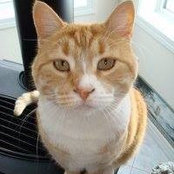 Janice Reddekopp's photo