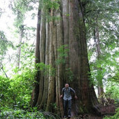 Joseph Rajewski's photo