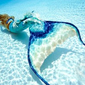 thebeachbellas foto