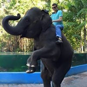 Michael Daniel's photo