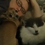 Katie Marshall's photo
