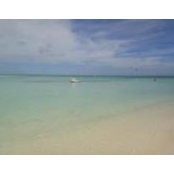 Maria Bermudez's photo