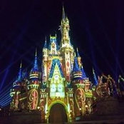 Laura Kriebs's photo