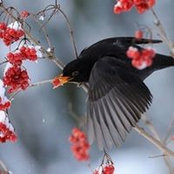 Sharon Read's photo