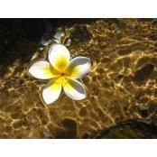Judith Lozada's photo