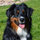 betsy_long56