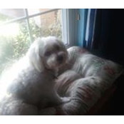 Lynn Krueger Ware's photo