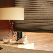 Shades & Blinds