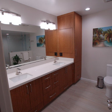 El Cajon - Spa-Styled Bathroom Remodel