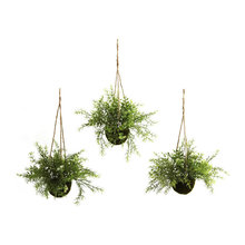 Faux Plants