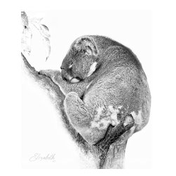 Sleeping the Day Away - Fine Art Prints
