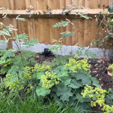 Garden transformation- Surrey