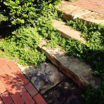 Lake Oconee Country Garden