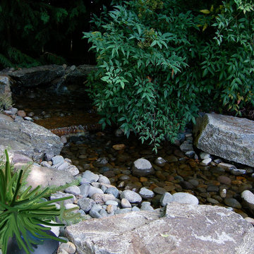 Water Features