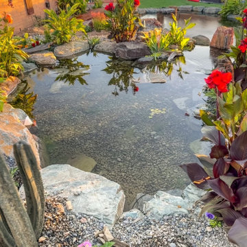 Pond Installs