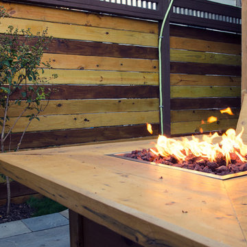 Small Urban Outdoor Yard