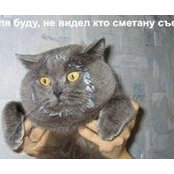 Foto von Andrey Goncharov