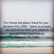 Eric Harrield's photo