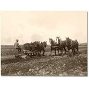 Kenneth Koleos's photo