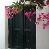 Chris Thornley's photo