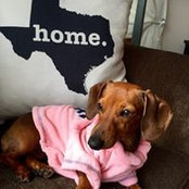 Marilyn Nelson's photo