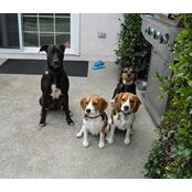 Adrienne Renner's photo
