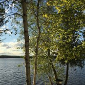 Pat York's photo