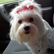 Linda Duval Ashe Smith's photo
