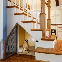 Dog Room