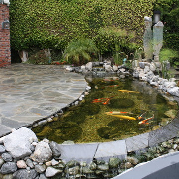 Beverly Hills Tranquility