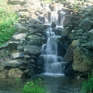 Pond builds