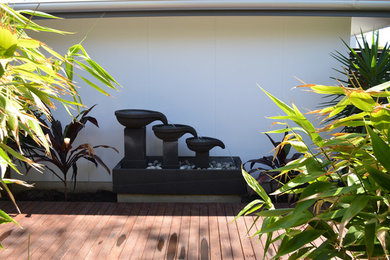 Design ideas for a modern garden in Sunshine Coast.