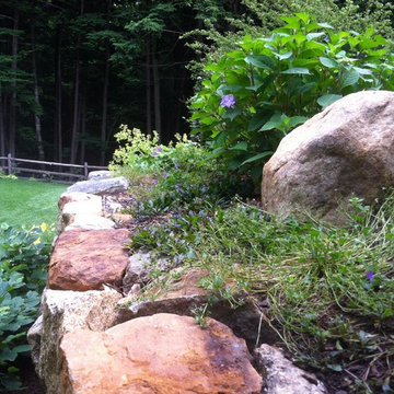 Plantings and Boulders