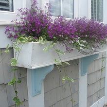 Window boxes
