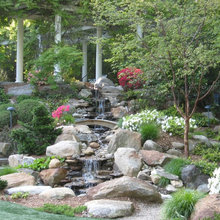Rock garden
