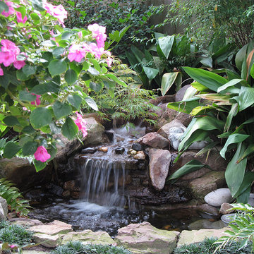 Water Features