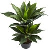 29" Double Agave Succulent Artificial Plant