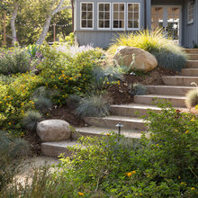 Favorites For Garden  10/2019