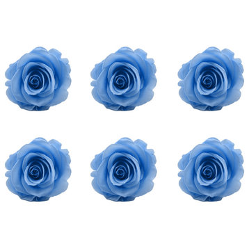 Large Preserved Roses, Set of 6, Baby Blue