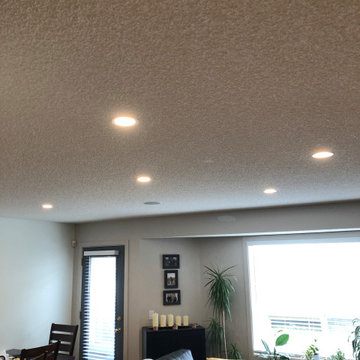 Krause Family Lighting Upgrade
